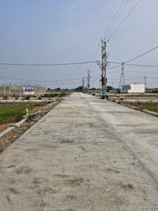Radhey shyam Prishad Plot View 2