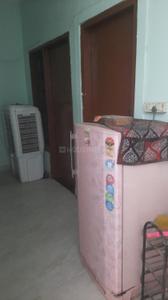 Hall Image of 500 Sq.ft 1 BHK Apartment / Flat for rent in Tulsi Vihar Colony Gwalior for Rs. 15000