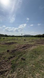 Parthasarathy Puram Plot View 1