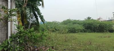 Residential Plot