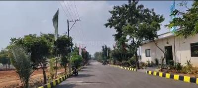 Sri padmavathi estates Plot View 1