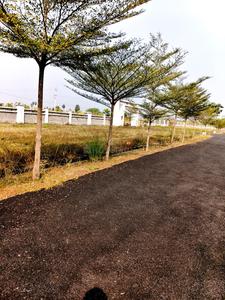 Residential Plot