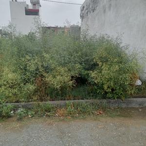 Durga Colony Plot View 3