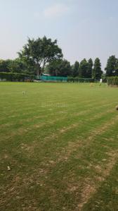 Image of 9072 Sq.ft Residential Plot / Land for sale in Dkrrish Green Beauty Farms, Sector 135, Noida for Rs. 8000000