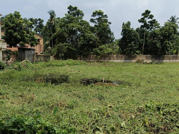 Bisharpara, Birati Main Image 1