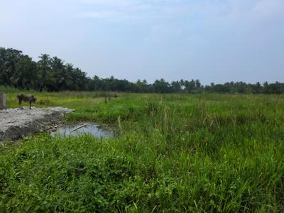 Nest Valley Plot View 1
