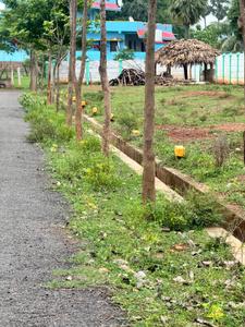 Residential Plot