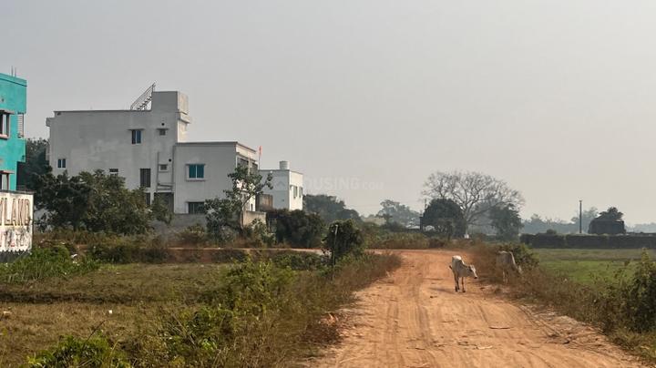 Patrapada Main Image 1