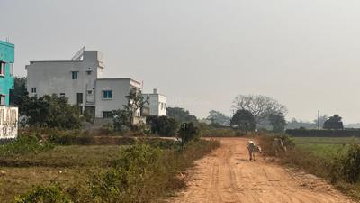 Patrapada Plot View 1