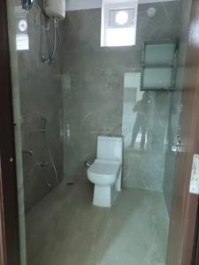 Common Bathroom Image of 1300 Sq.ft 2 BHK Apartment / Flat for rent in Kondapur Hyderabad for Rs. 38000