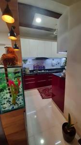 Kitchen Image of 813 Sq.ft 2 BHK Apartment / Flat for sale in Kadi Mehsana for Rs. 4000000
