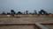 Mrig city Main Image 1