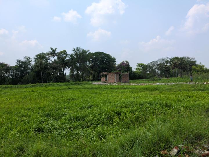 Diamond Park Main Image 1