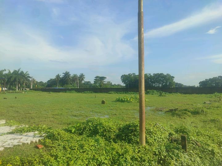 Hatisala, New Town Main Image 1