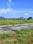 Nandanavanam Subhaprada II Main Image 1