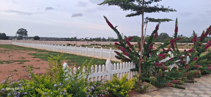 RAK Felicity Main Image 1