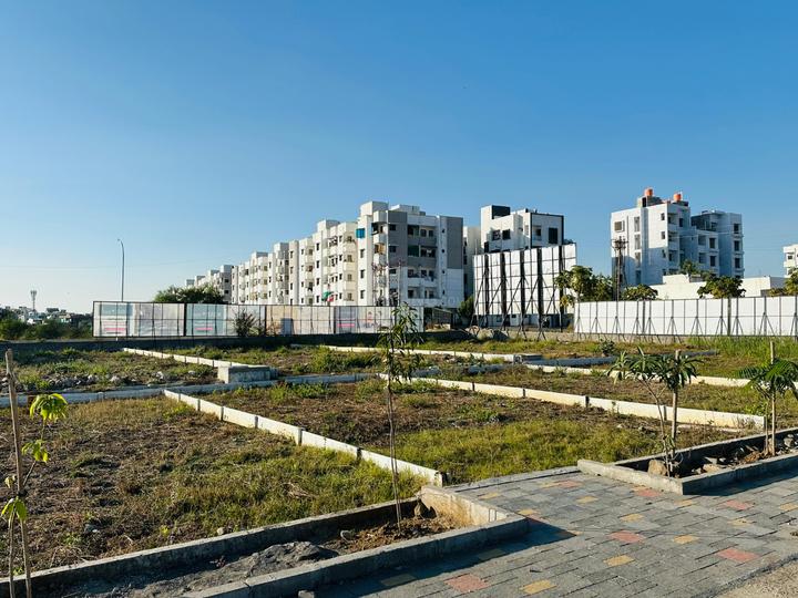 Privara Golden Avenue Main Image 1