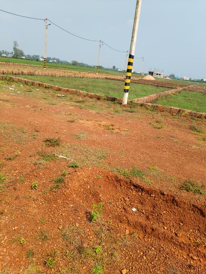 Alarpur Main Image 1