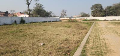 Bihta Plot View 1