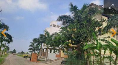 Plot View