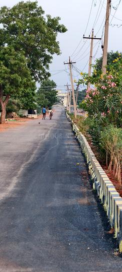 CKP Garden Main Image 1