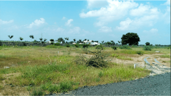 Lothal Main Image 1