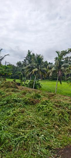 Mulanthuruthy Main Image 1