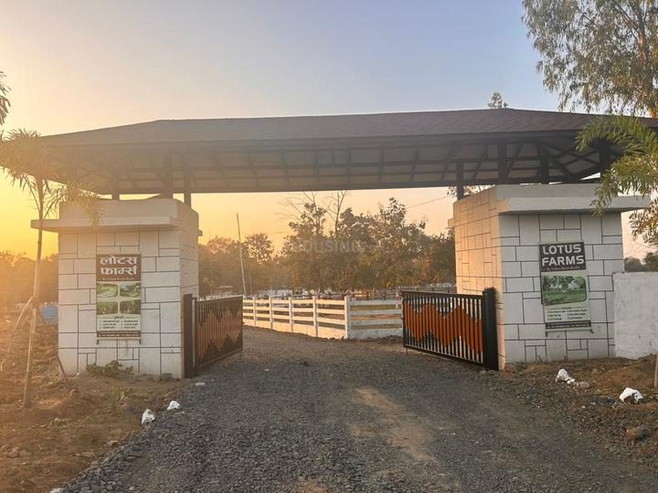 Lotus Farm Main Image 1