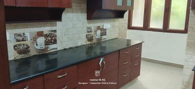 Kitchen Image of 2700 Sq.ft 3.5 BHK Builder Floor for sale in Sector 52 Gurgaon for Rs. 22500999