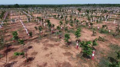 Image of 1200 Sq.ft Residential Plot / Land for sale in Vengal, Chennai for Rs. 900000