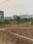 Chhapraula Main Image 1