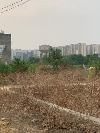 Chhapraula Main Image 1