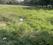 Sector 80 Mohali  Main Image 1