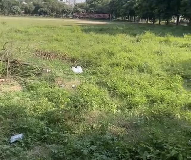 Sector 80 Mohali  Main Image 1