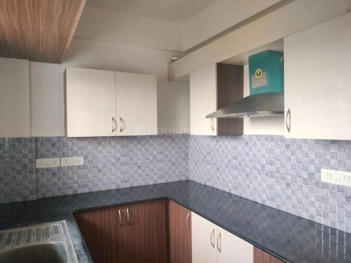 Vakil Daffodils Main Image 1