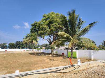 Residential Plot