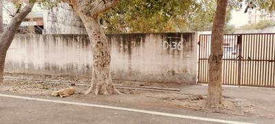 Image of 300 Sq.ft Residential Plot / Land for sale in Sector 99, Noida for Rs. 78000000