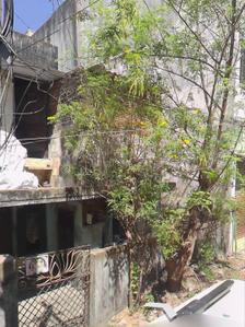 Image of 1025 Sq.ft Residential Plot / Land for sale in Virugambakkam, Chennai for Rs. 22500000