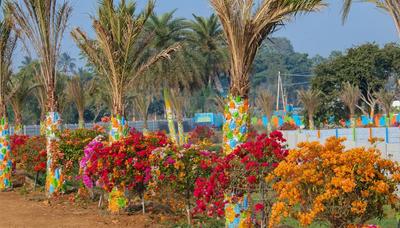 Image of 167 Sq.ft Residential Plot / Land for sale in Sarika, Vizianagaram for Rs. 3841003