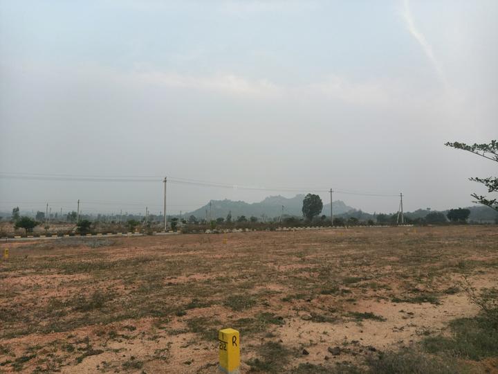 Fortune Smart 5 Main Image 1