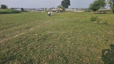 Prem Nagar Plot View 1