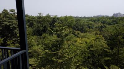 Image of 2682 Sq.ft 3 BHK Apartment / Flat for sale in Sargam Sarita, Sargasan, Gandhinagar for Rs. 14500000