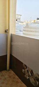 Balcony Image of 1200 Sq.ft 2 BHK Apartment / Flat for rent in Whitefield Bengaluru for Rs. 31000