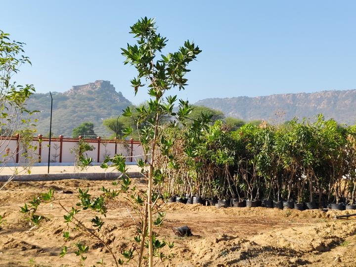 Farm House land Bichoon village Ajmer Road jaipur Main Image 1