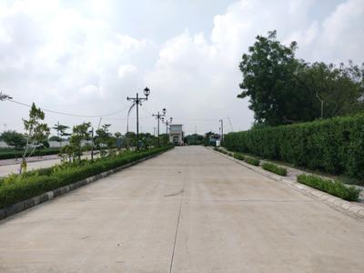 Soha Olive Town Internal Roads 2