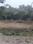 Ansal Golf Links Main Image 1