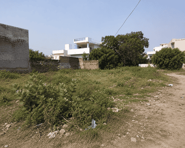 Rajinder Singh Market Plot View 2
