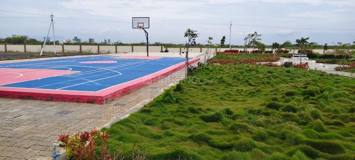 Lotus Dreams Main Image 1