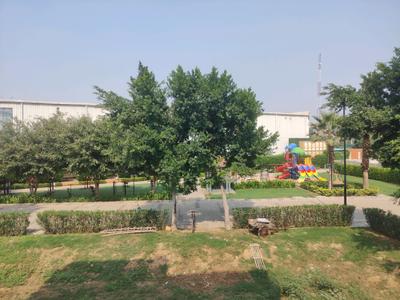 Playing Area Image of 1350 Sq.ft 3 BHK Builder Floor for sale in BPTP District, Sector 81 Faridabad for Rs. 16000000