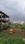 Sairung Srushti Main Image 1